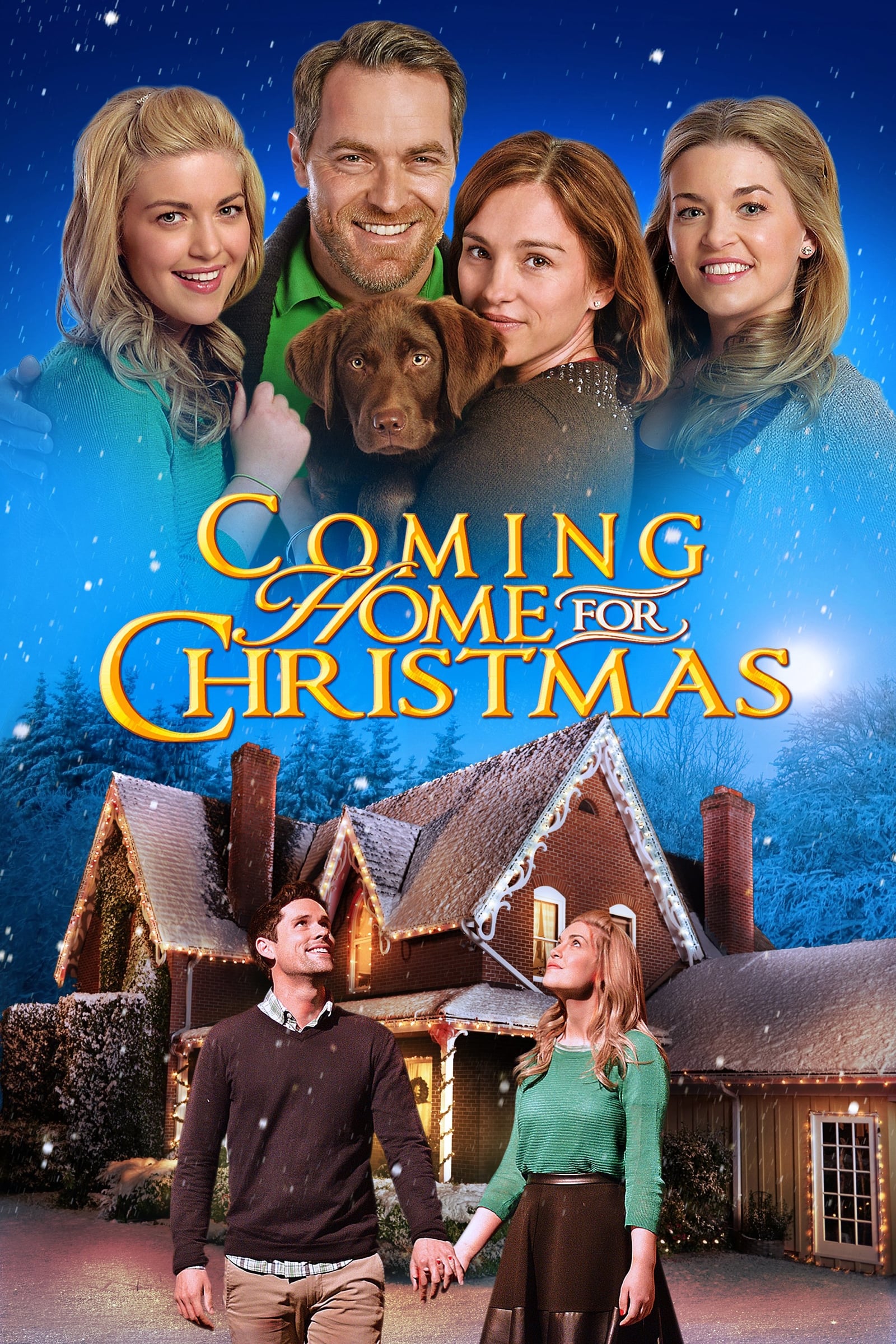 Постер Coming Home for Christmas